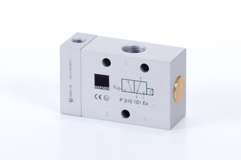 P 310 101 EX